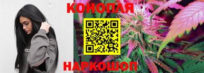 винт Новозыбков