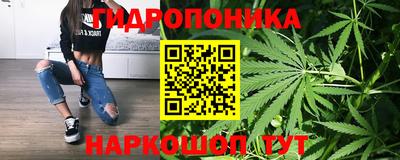 спиды Новодвинск